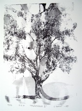 silkscreen: Mulletr&auml;det II 20x27  (1/10) 900sek 